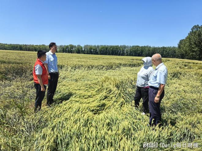 极端天气对农业生产的影响及应对策略挑战