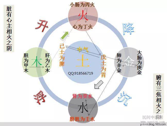 中医阴阳五行理论在养生中的实践应用