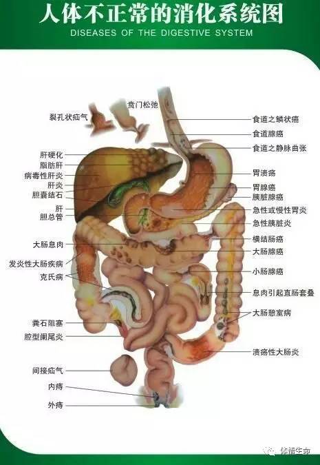 中医消化系统调理良方，常见方法解析