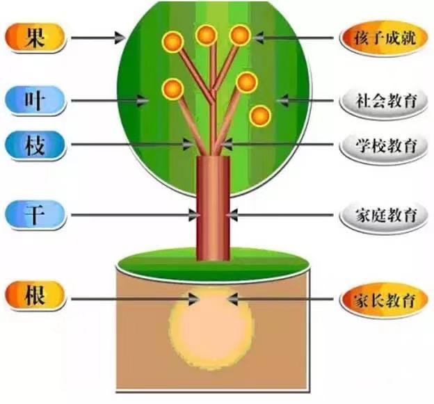 家庭教育与孩子社交能力的深度关联，实践策略探讨