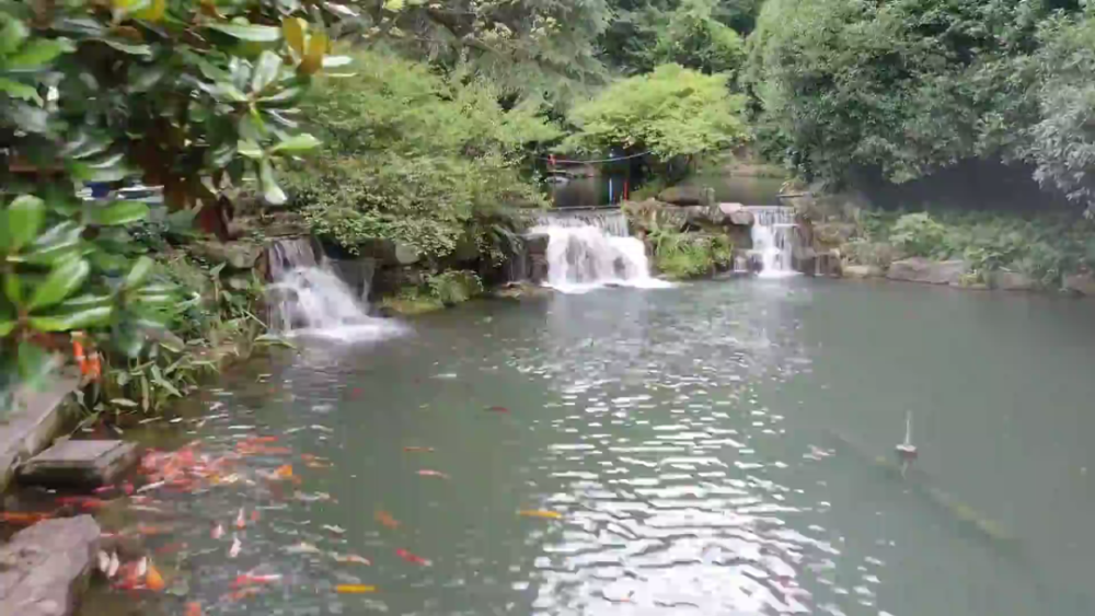 跨省旅游恢复与景区接待能力提升，旅游业复苏在望之路