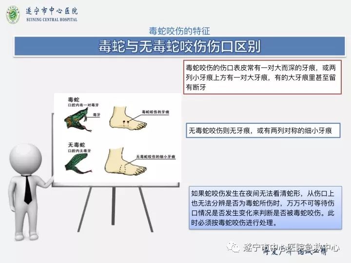 毒蛇咬伤应急处理与急救方法指南