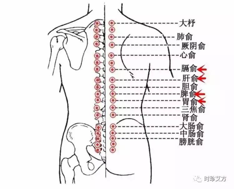 中医艾灸缓解背部疼痛，理论与实践研究探索