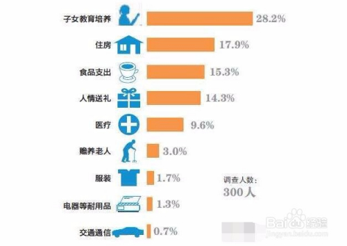 打造节约型家庭，优化支出与节省日常开销的实用指南