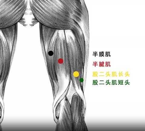 常见健身误区及避免方法的健康建议,全局化链式资源优化方案_超越未来60.96.19