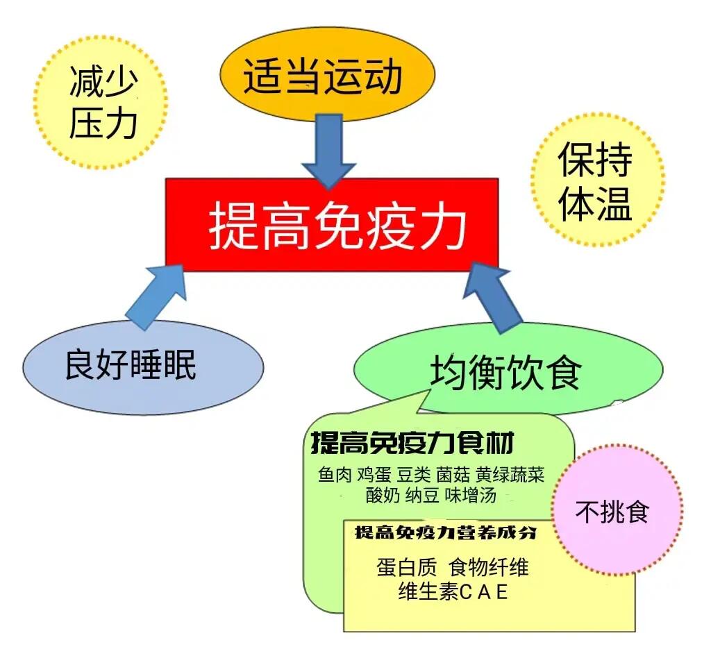 儿童的体质调理与免疫增强养生法,全要素治理协同实施_拥抱明天67.41.33