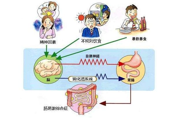 如何通过正向情绪提升身体健康,精准系统流程掌控_视野升级77.63.02