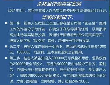 防范网上金融投资诈骗的应对策略,路径方案落地实践_锦程版31.64.23